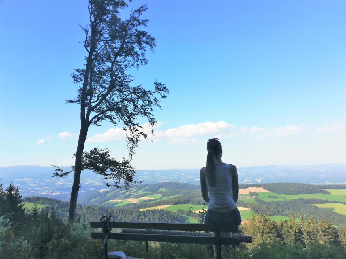 Bergchalet Am Waldrand - Pool, Sauna & Kamin Pöllauberg Eksteriør bilde